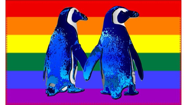 230316-gay-pinguinos-homosexuales